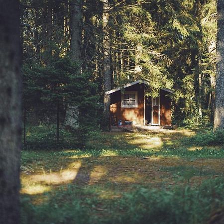 Pidula Forell Экстерьер фото